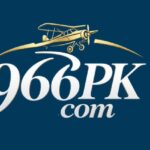 966pk game