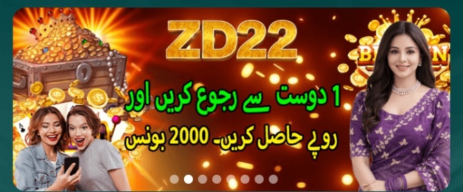 zd22 game