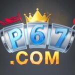 p67 game